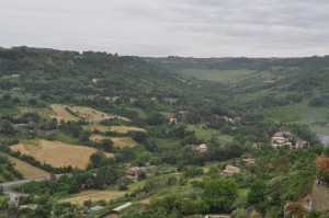 Orvieto Landscape
